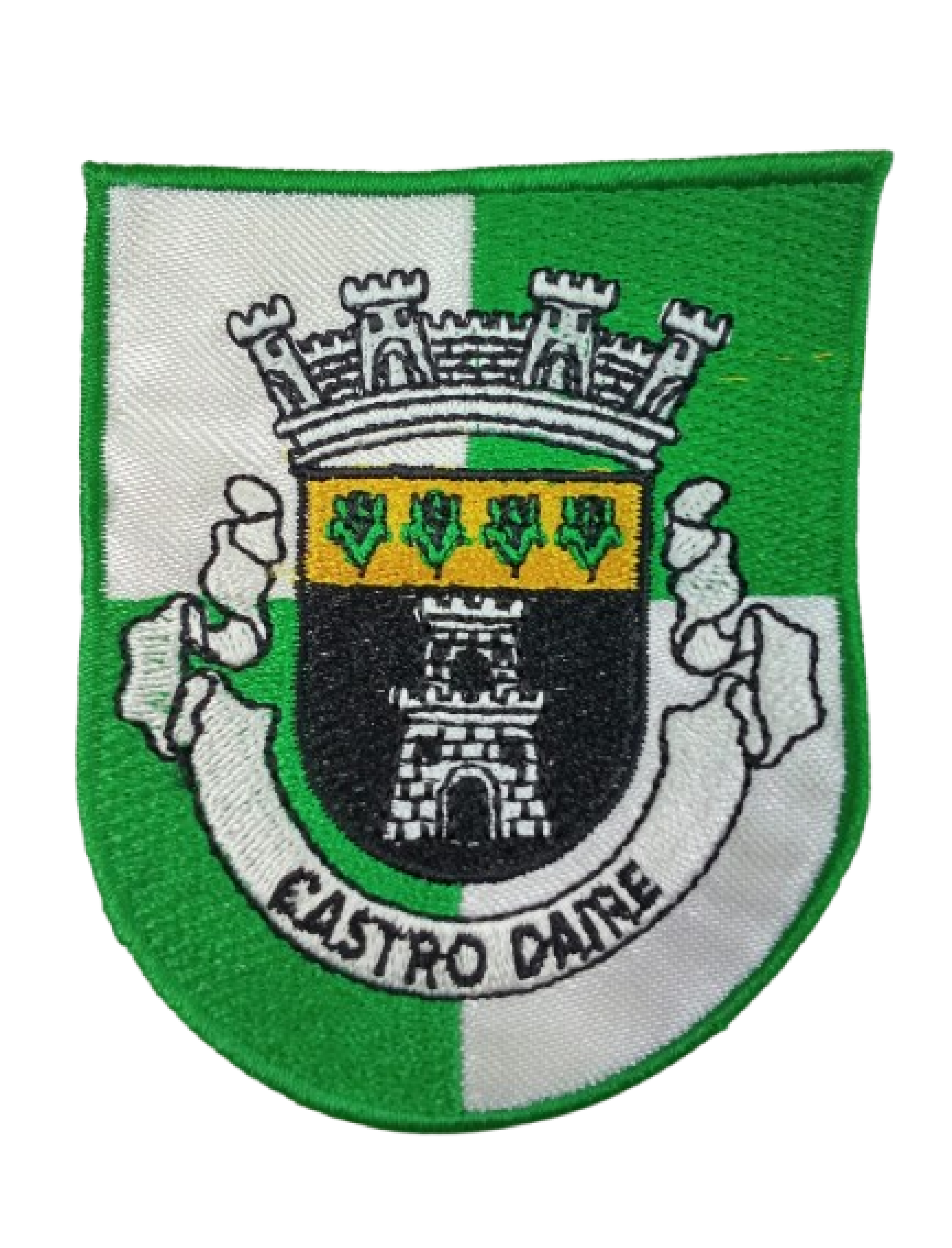 Castro Daire - Brasão 