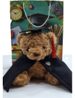 Urso - Peluche