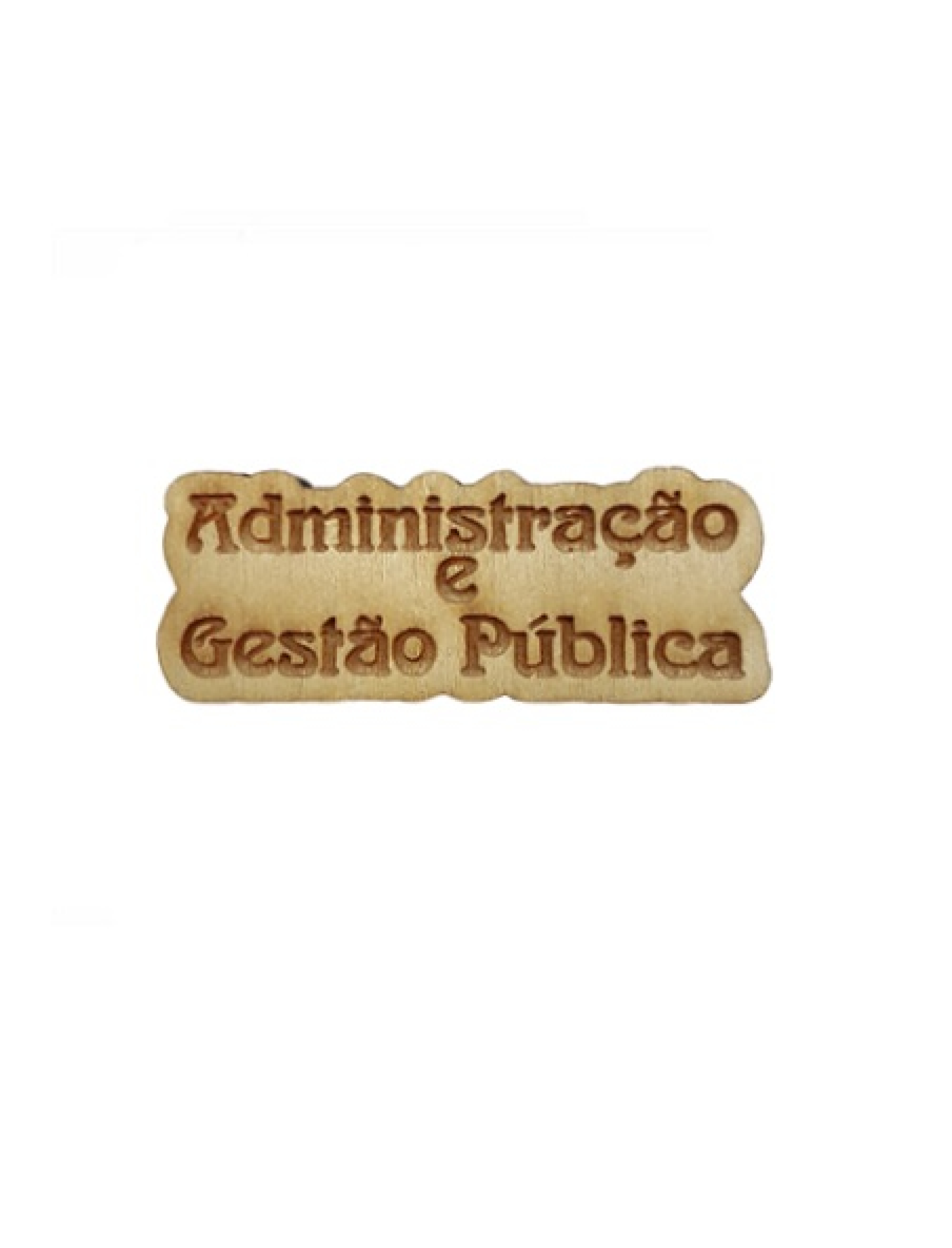 Administração e Gestão Pública