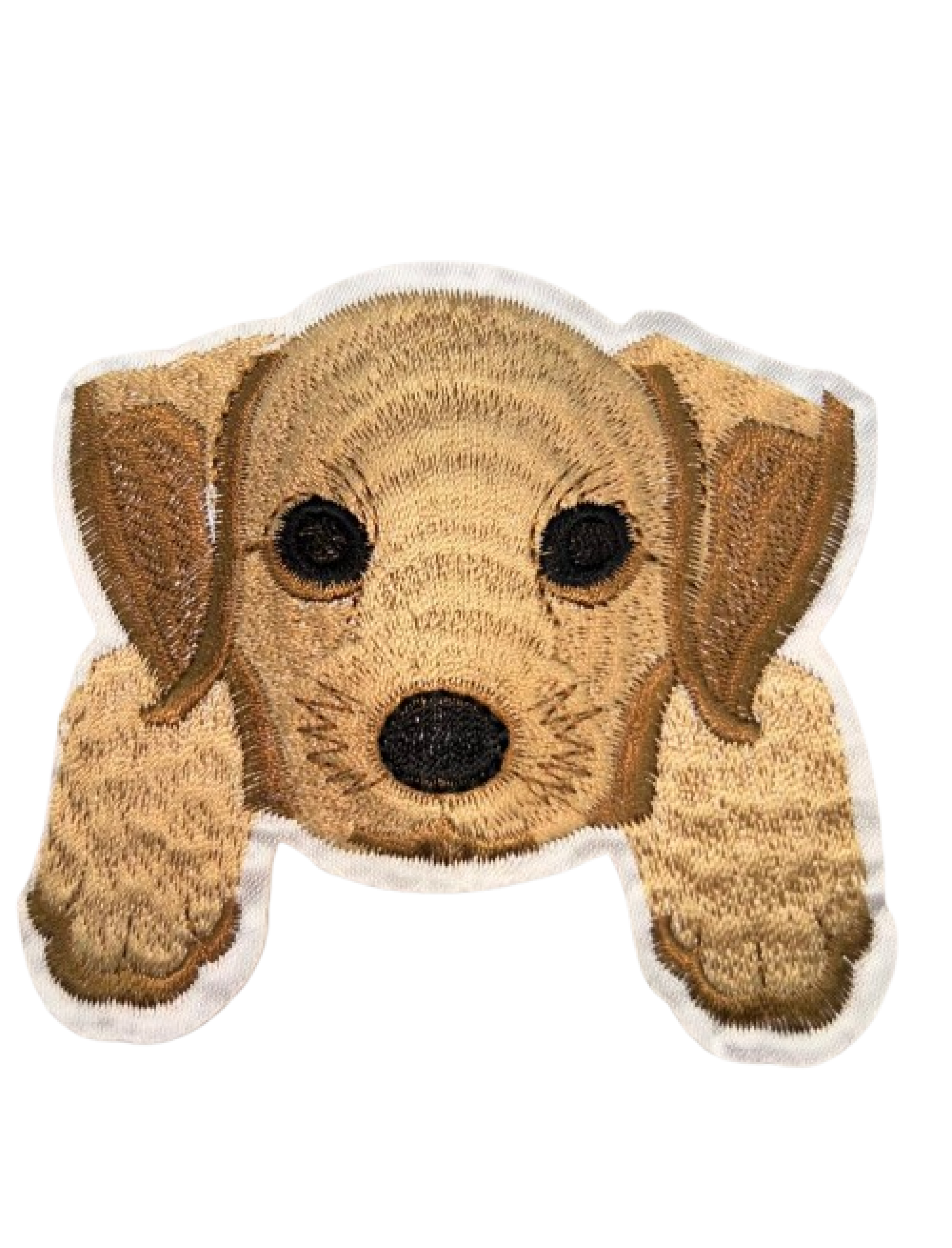 Cão (golden retriever)