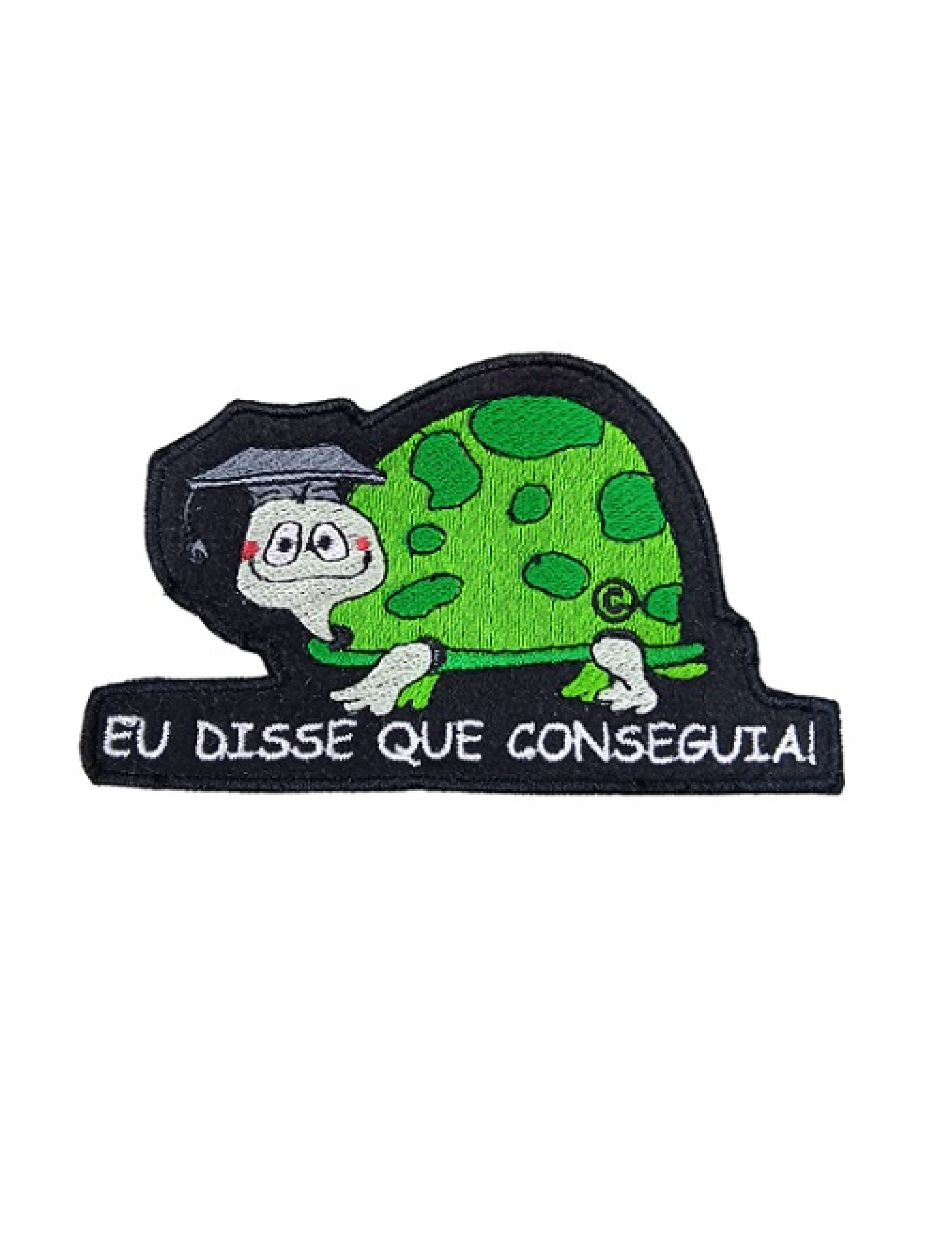 Tartaruga "Eu disse que conseguia"