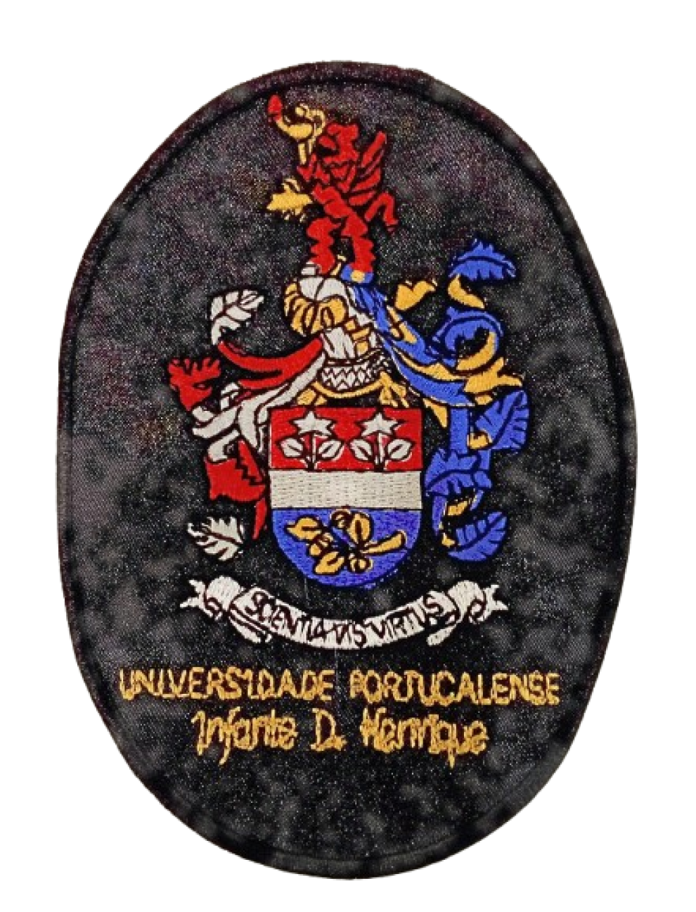 Universidade Portucalense