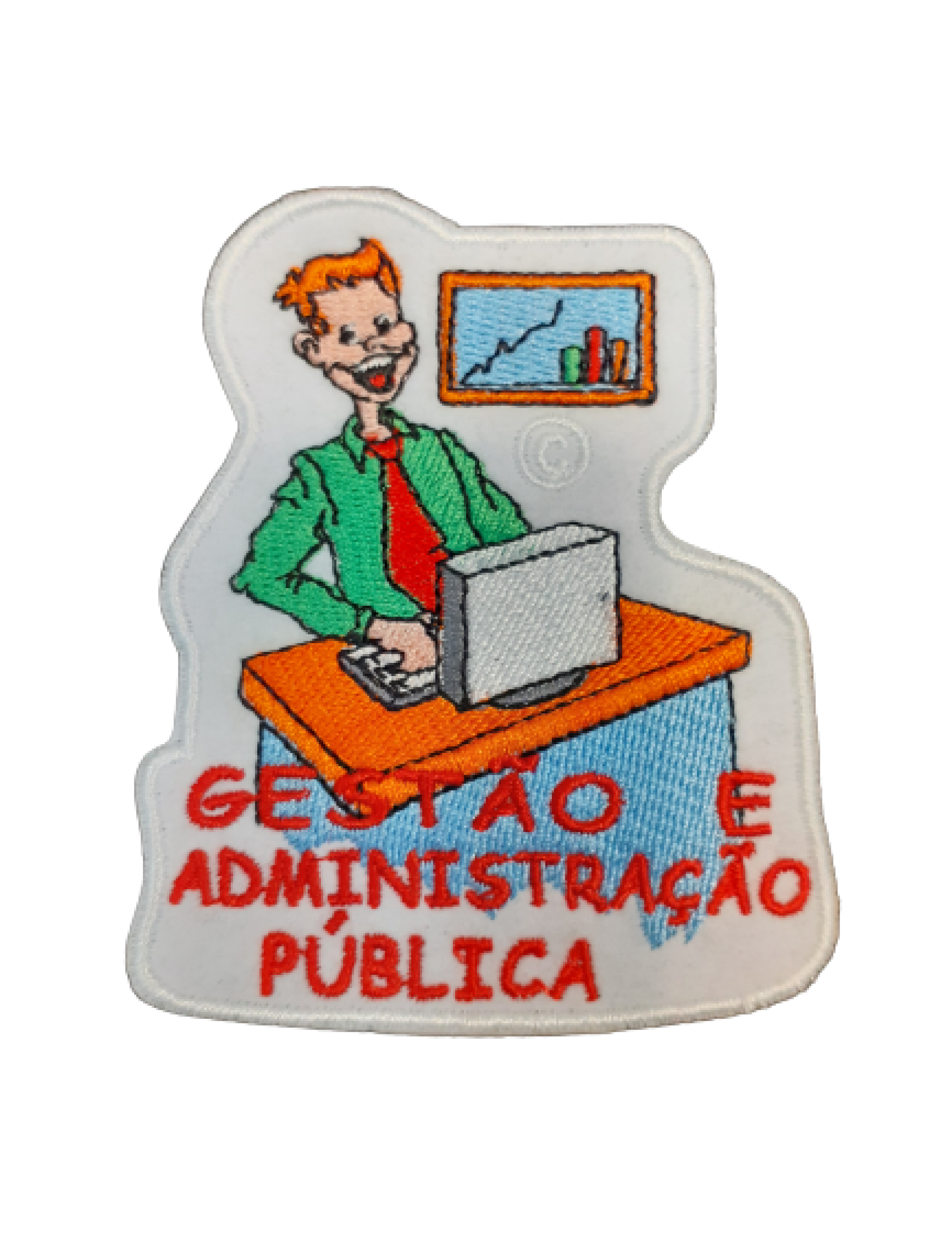 Gestão e Administração Pública