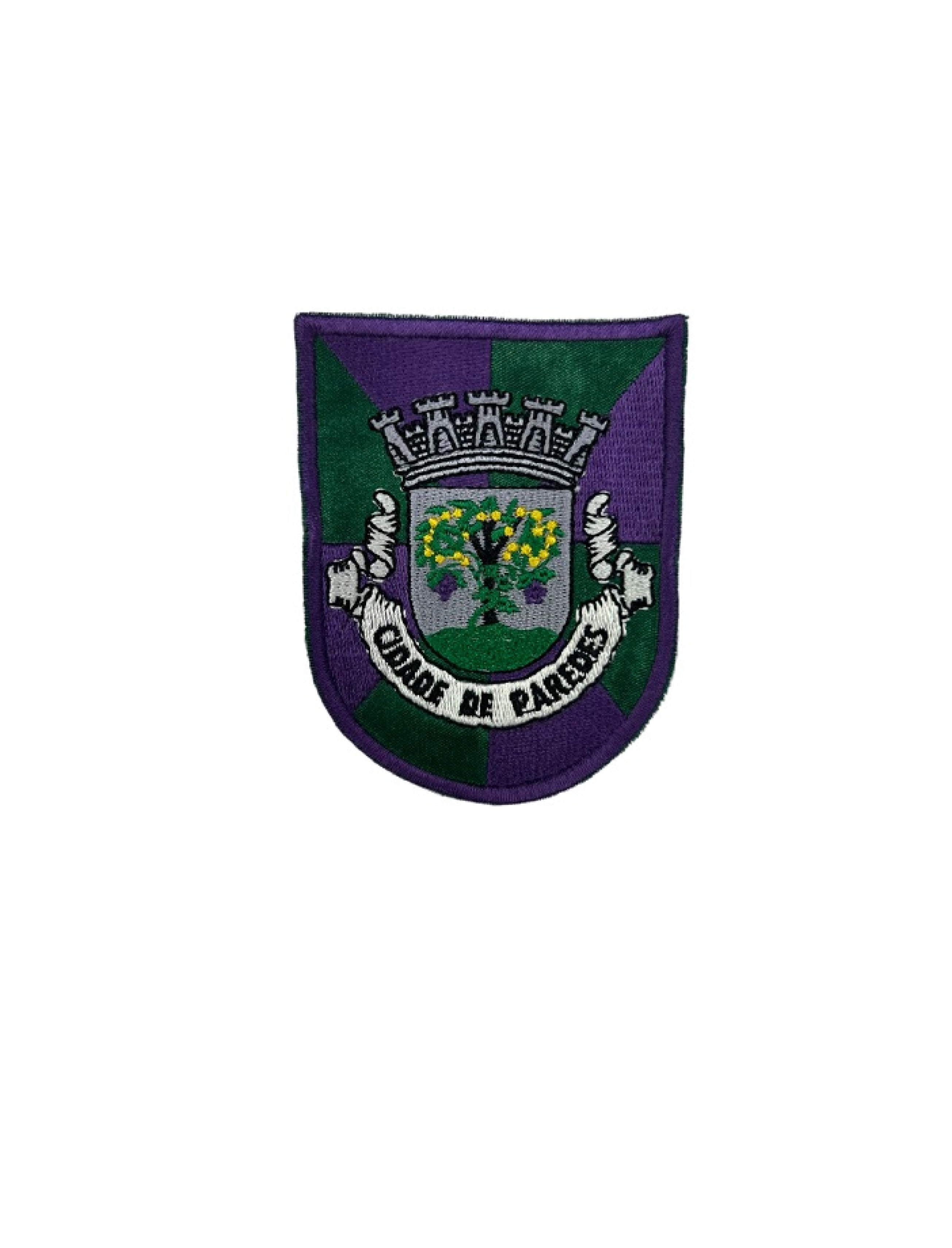 Cidade de Paredes - Brasão 