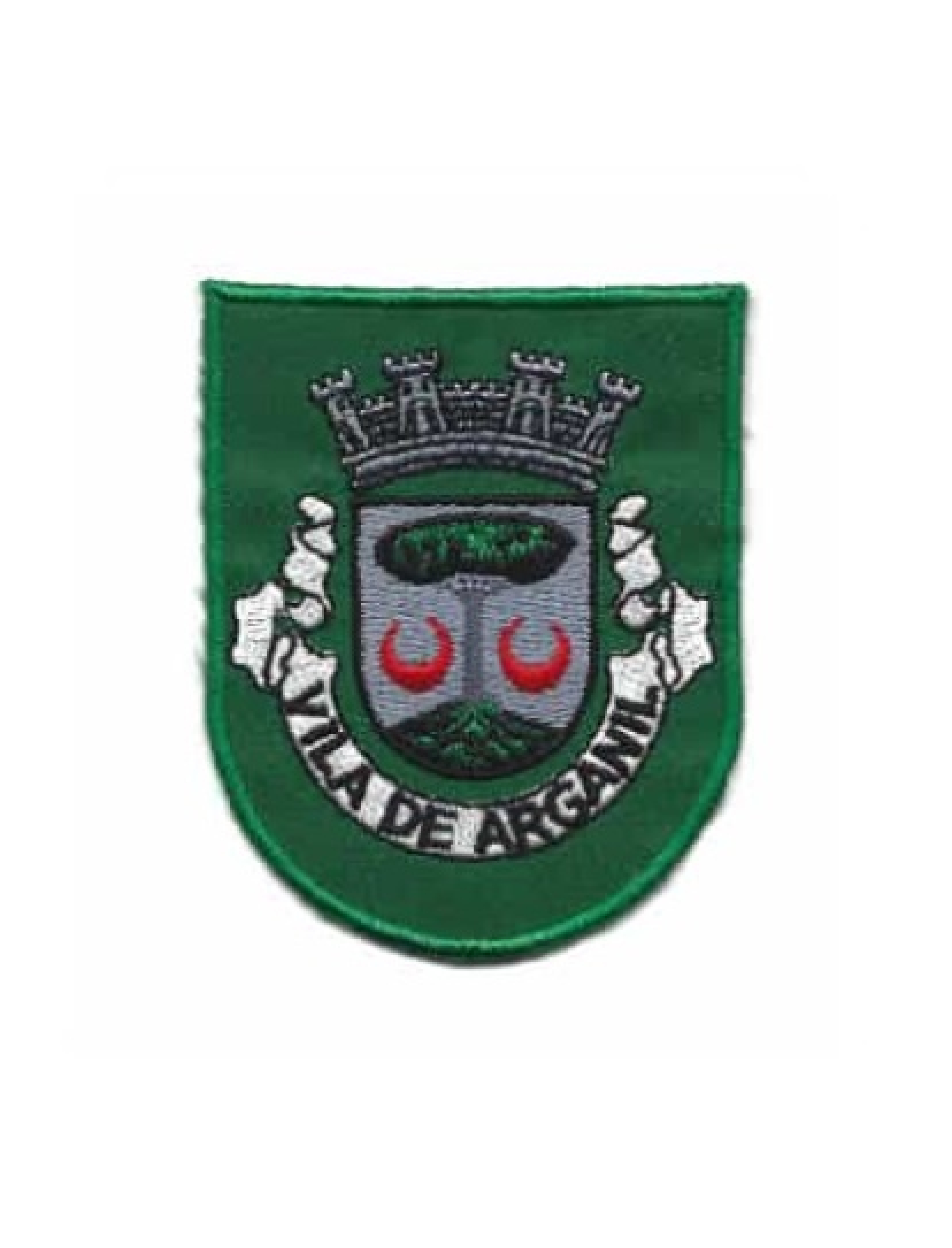 Vila de Arganil Brasão